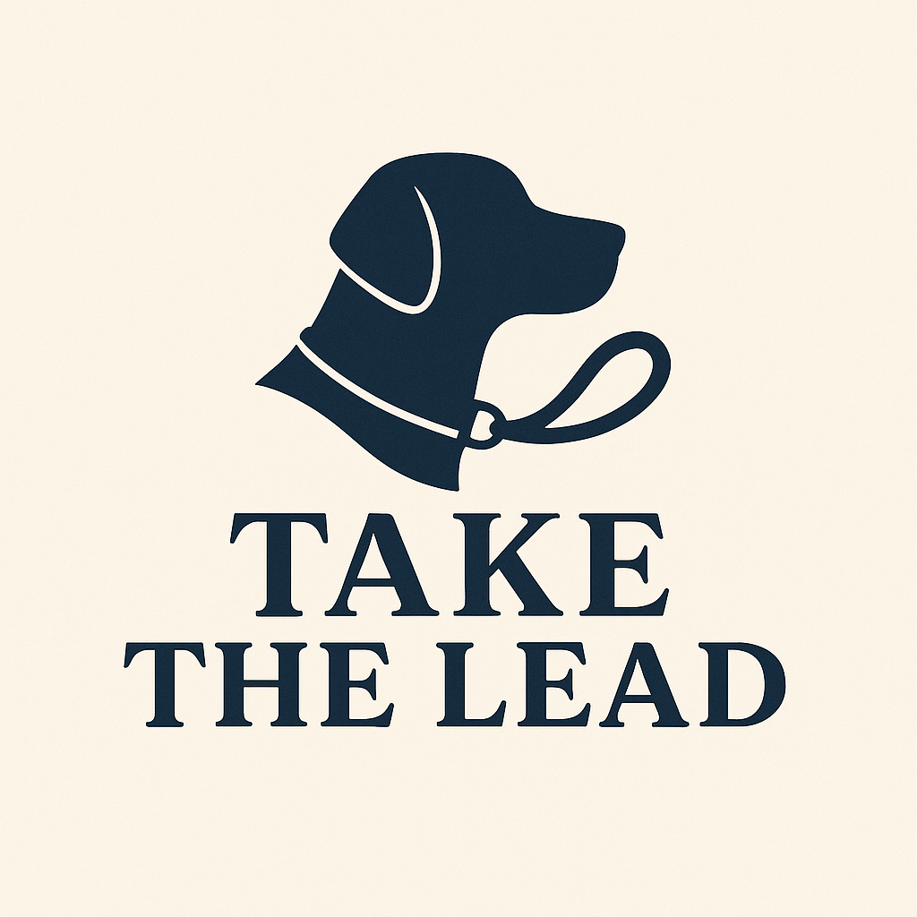 Take The Lead